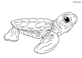 Some of the turtle pictures to color can get quite complex owing to the number of elements in them. Turtles Coloring Pages Free Printable Turtle Coloring Sheets