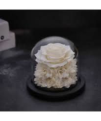 ورد طبيعى ابيض دايم ايلوبا روزز داخل فازة زجاجية desserts cake