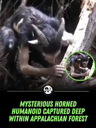 Terrifying Mythical Creature Discovered Deep in the Appalachian Mountains —  Caught on Trail Camera! The proliferation of high-definition trail cameras  and civilian drones has initiated a secondary "Age of Discovery," where the