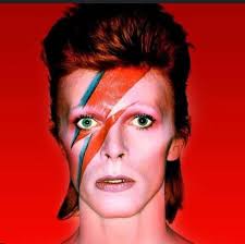 Experience the world's premiere tributes to Prince and David Bowie,  together for ONE NIGHT ONLY! Hear countless hits, with over 60 albums  shared between them! Our first show of 2026 coming January