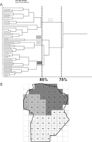 Dendrogram and areas resulting from cluster analysis. (A) Bray-Curtis...