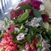 Toronto blooms offers flowers gifts for all occasions that ship for free to toronto and other select areas across the gta on orders over $100 cad. Flowers And More 12 Reviews Florists 379 Jane Street Toronto On Phone Number Yelp