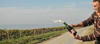 S'ils sont placés contre un mur, veillez alors à laisser. Fabulous Day Review Of Au Dela De Chez Soi Bus En Vignes Reims France Tripadvisor