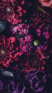 Red Flowers Wallpaper Lockscreen Hubsche Tapeten Blumentapete Blumen Hintergrund Iphone