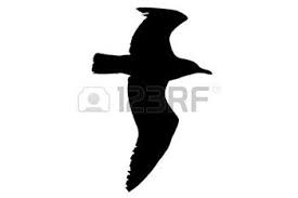 Silhouette Mouette Banque D Images Vecteurs Et Illustrations Libres De Droits Mouette Dessin Oiseau Silhouette