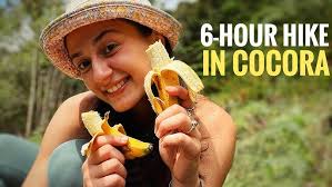 Worlds TALLEST Palm Trees! Colombia Travel Vlog