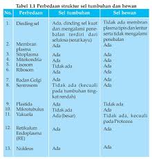 Umumnya sel hewan mempunyai ukuran lebih kecil, bentuknya tidak tetap. Apa Saja 15 Bagian Sel Hewan Fungsi Bentuk Dan Senyawa