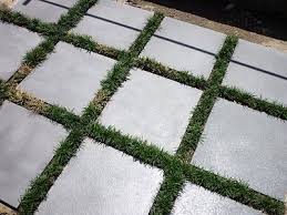 January 2011 Mondo Grass Patio Stones Large Concrete Pavers