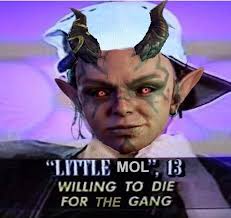 Opinions and Experiences with Mol in Baldur's Gate III