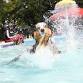 End of Summer Pool Pawty