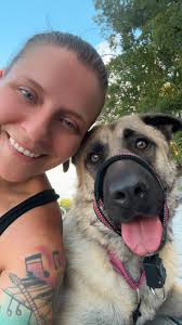 What's the best DNA testing company for mixed breed dogs?