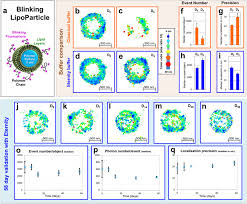 Innovative Particle Standards And Long Lived Imaging For 2d