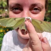 20+ "Morgan Hooks" profiles