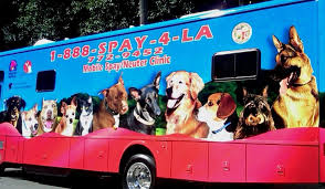Nonprofit organization for spay, neuter and vaccination services in north texas. Spay4la Offers A Mobile Spay And Neuter Clinic For La County Pets
