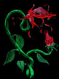 Maybe you would like to learn more about one of these? Pink Floyd Fornicating Flowers By Entabsol On Deviantart