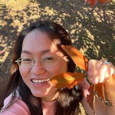 Mọi người cho e hỏi, nếu e có cả passport Mĩ và passport Việt Nam thì có  cần phải xin visa để đi Vn ko?