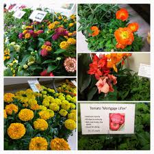 So, the best tip to save money when shopping. Tiger Garden Mutigergarden Twitter
