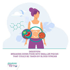 rima moussa (@chemistrybyrima) • Instagram photos and videos