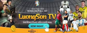 Luong Son TV: Bringing Entertainment and Information to the Vietnamese  Community