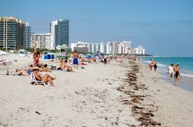 Lincoln road mall and ocean drive are also within 1 mi (2 km). South Beach Hotel Deals In Miami Fl