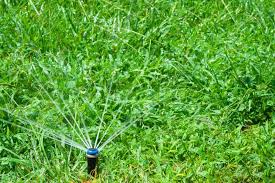 Select the appropriate sprinkler heads based on the irrigation needs of the lawn and landscape. 4 Affordable Alternatives To Underground Sprinkler System Home Stratosphere