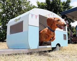 When You Are Going On Vacation You Need A Trailer For Your Sausagedog Ig Theodoretheminisausage Dachshund Dachshund Dog Dachshund Puppies Dachshund
