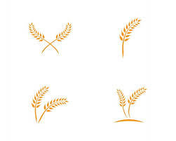 Espigas, insumos para jabones & cosmética artesanal. Espigas Images Free Vectors Stock Photos Psd