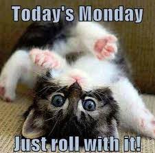 Find and save monday memes | see more دوشنبه memes, monday com memes, this is monday memes from instagram, facebook, tumblr, twitter & more. Pin On Funny Monday Memes