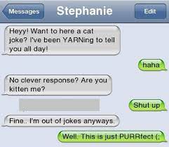 Consider it playing by the jerry seinfeld rules of comedy: Best Joke Every To Tell Your Friends Funny Texts Jokes Funny Text Messages Text Jokes