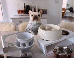 Maybe you would like to learn more about one of these? I Reviewed 9 Dog Bowls To Find The Best For French Bulldogs Where S The Frenchie