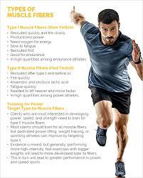 Type Iia Muscle Fibers Training For Explosiveness Issa Types Of Muscles Muscle Plyometric Workout
