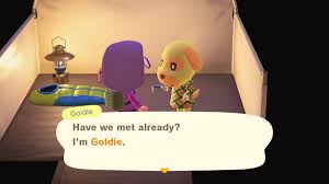 1 key/legend 2 amiibo x animal crossing: Maria Oc Loving Hours On Twitter Animalcrossing Acnh Nintendoswitch I Got The Goldie Amiibo Card And Got Her In Game