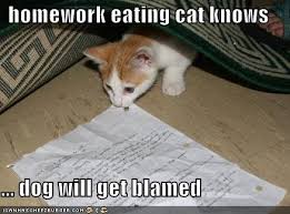 Sneaky Cat
