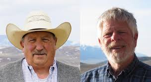 Walsh, Root look to take over in House District 71