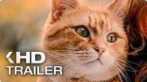 Bob Der Streuner Exklusiv Trailer 2 German Deutsch 2017 Youtube