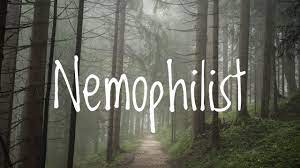 Maybe you would like to learn more about one of these? Nemophilist Youtube