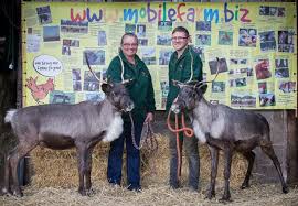 Check spelling or type a new query. Fishers Mobile Farm We Bring Our Farm To You