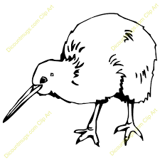 Line Drawings Of Kiwi Similar Galleries Kiwi Bird Drawing Kiwi Bird Cartoon Bird Drawings Kiwi Bird Bird Line Drawing Brambling common nightingale bird common chaffinch house sparrow, kiwi, songbird, fauna. bird drawings kiwi bird bird line drawing