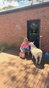 POV: You said good morning… and everyone came for breakfast!, ., ., #farmlife #countrylife #homestead #simpleliving