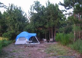 Browse professionally cleaned gulf shores plantation condos. 25 Best Alabama Campgrounds To Enjoy The Backcountry In 2021