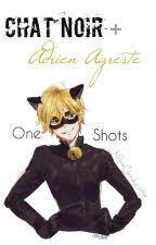 Adrien Agreste Cat Noir X Reader One Shots Memes And Pictures Not An X Reader X Reader Persona 5 Akira Akira Kurusu