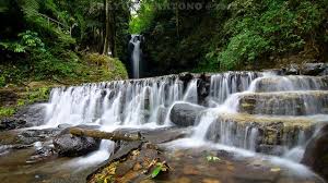 Tempat wisata di kuningan selanjutnya adalah hutan desa setianegara. 12 Tempat Wisata Di Kuningan Jawa Barat Alamnya Menakjubkan Hot Liputan6 Com