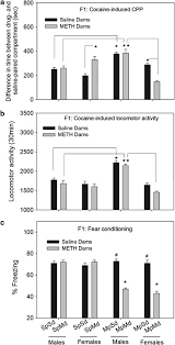 Fairy coloring pages free printable 98395. Long Term Parental Methamphetamine Exposure Of Mice Influences Behavior And Hippocampal Dna Methylation Of The Offspring Molecular Psychiatry