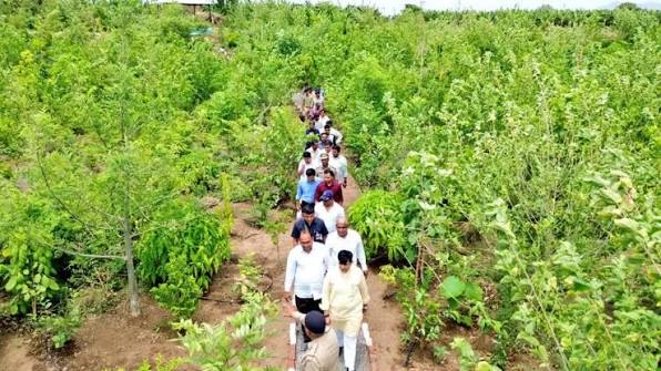 રબારીકા ગામના વન કવચની મુલાકાત લીધી… દોઢેક વર્ષ પહેલાં અહીં વન કવચ નું  નિર્માણ કરી વૃક્ષારોપણ કર્યું હતું. આજે એ જ વન કવચમાં પક્ષીઓનો કલરવ ...
