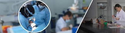 Bachelor of dental surgery — ( b.d.s ) is a first professional degree programme in dentistry. Doctor Of Dental Surgery Lincoln University