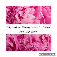 There are 18 different elementary schools and. Signature Arrangements Florist Home Facebook