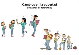 La editorial montenegro pone a disposición de alumnos, maestros y padres de familia el texto me divierto y aprendo 6, cada bloque contiene. Libro De Ciencias Naturales 5 Grado 2020 Paco El Chato