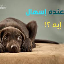 Maybe you would like to learn more about one of these? Ø§Ù„ÙƒÙˆÙ„Ø³ØªÙŠØ±ÙˆÙ„ Ø¯Ø§Ø¡ Ø§Ù„Ø³ÙƒØ±ÙŠ ÙƒØ§ØªØ²Ù†Ø¨