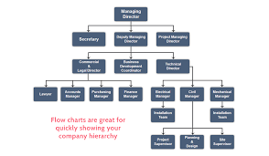 Operations Manual Company Hierarchy Business Operations Templates Best Templates