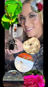 The spiders were out this week! Here are some that I found around my house  in Evansville,In.